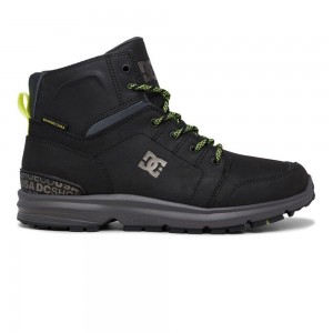 Black / Grey DC Torstein Men's Boots | 61293-DARX