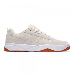 Grey DC Penza Men's Trainers | 75380-LOID