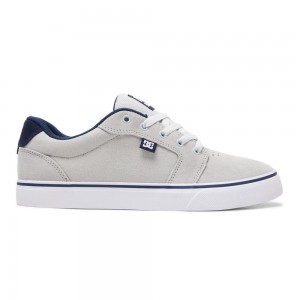 Grey / Blue DC Anvil Men's Skate Shoes | 87936-SLVK