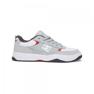 Grey / White DC Penza Men's Trainers | 94315-HGUJ