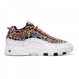 Leopard / Multicolor DC Legacy OG Women's Trainers | 04132-YTBE