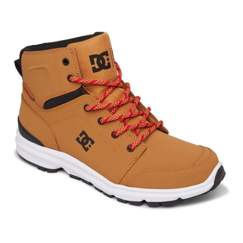 Brown / Black DC Torstein Men's Boots | 54130-EYGD