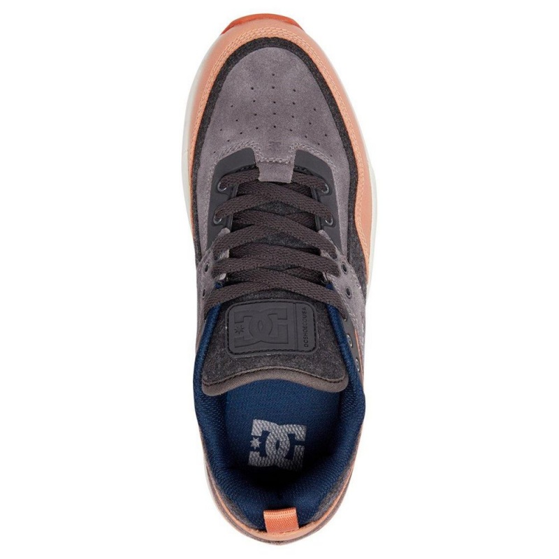 Grey / Brown DC E.Tribeka Men's Trainers | 59163-BSGJ