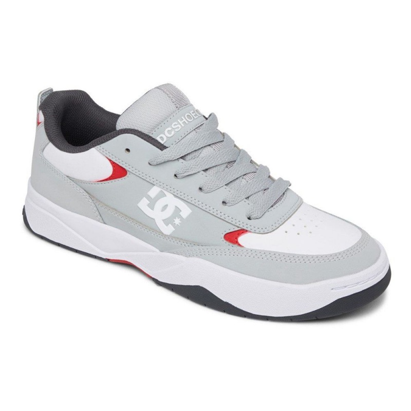 Grey / White DC Penza Men's Trainers | 94315-HGUJ