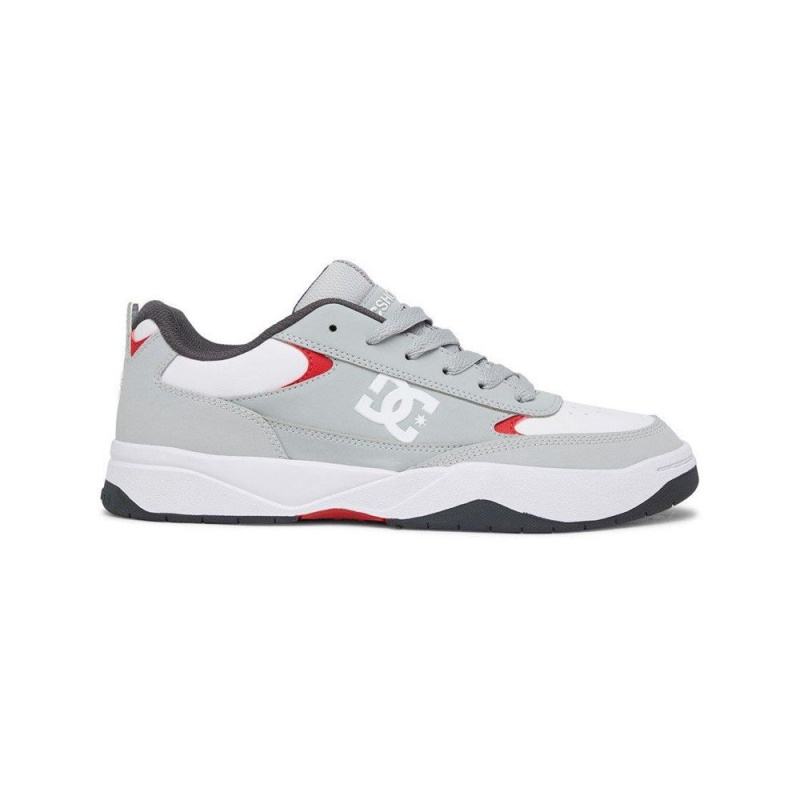 Grey / White DC Penza Men\'s Trainers | 94315-HGUJ