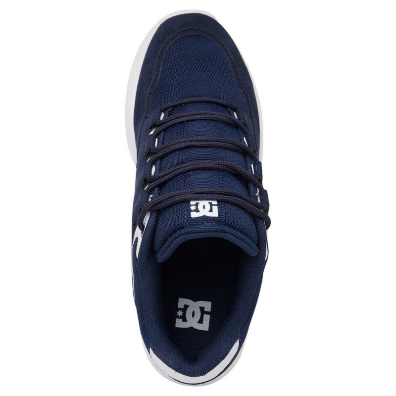 Navy / White DC Decel Men's Trainers | 42567-AJVF